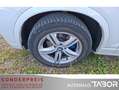 BMW X3 xDrive Steptr. 20d Sport-Paket M BiXe PDC GRA Weiß - thumbnail 11