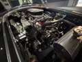 Shelby Sonstige Roadster - thumbnail 26