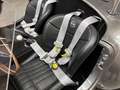 Shelby Sonstige Roadster - thumbnail 34