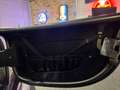 Shelby Sonstige Roadster - thumbnail 39