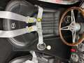 Shelby Sonstige Roadster - thumbnail 38