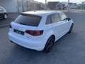 Audi A3 SB quattro Intro 1,6 TDI DPF Pickerl neu bis 03... Blanc - thumbnail 5