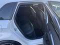 Audi A3 SB quattro Intro 1,6 TDI DPF Pickerl neu bis 03... Blanc - thumbnail 6