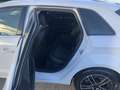 Audi A3 SB quattro Intro 1,6 TDI DPF Pickerl neu bis 03... Blanc - thumbnail 14