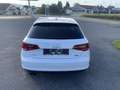 Audi A3 SB quattro Intro 1,6 TDI DPF Pickerl neu bis 03... Blanc - thumbnail 10