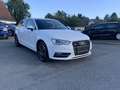 Audi A3 SB quattro Intro 1,6 TDI DPF Pickerl neu bis 03... Blanc - thumbnail 3