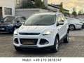 Ford Kuga Titanium 4WD*Aut*PANO*PDC*LED*NAVI*XENON Weiß - thumbnail 1