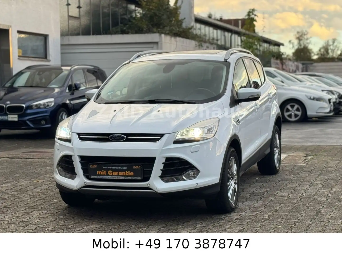 Ford Kuga Titanium 4WD*Aut*PANO*PDC*LED*NAVI*XENON Weiß - 1