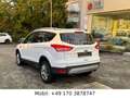 Ford Kuga Titanium 4WD*Aut*PANO*PDC*LED*NAVI*XENON Weiß - thumbnail 7