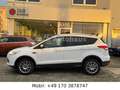 Ford Kuga Titanium 4WD*Aut*PANO*PDC*LED*NAVI*XENON Weiß - thumbnail 8