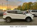 Ford Kuga Titanium 4WD*Aut*PANO*PDC*LED*NAVI*XENON Weiß - thumbnail 4