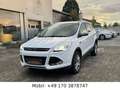 Ford Kuga Titanium 4WD*Aut*PANO*PDC*LED*NAVI*XENON Weiß - thumbnail 9