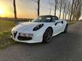 Alfa Romeo 4C Spider 4C 1.7 TBi Blanco - thumbnail 12
