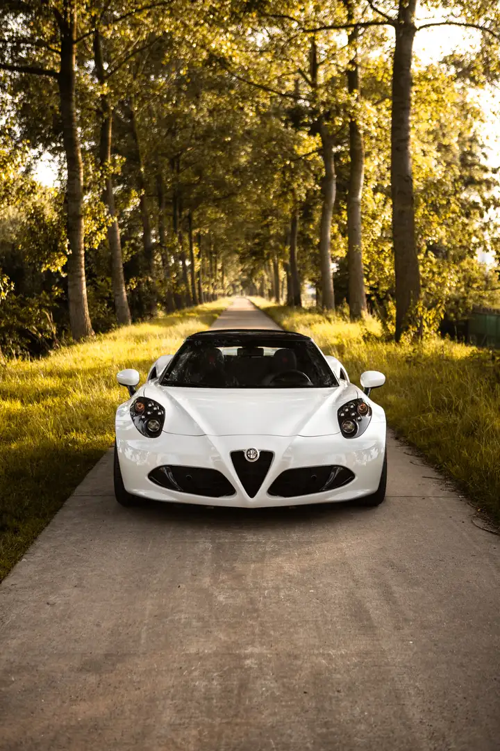 Alfa Romeo 4C Spider 4C 1.7 TBi Blanco - 2