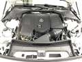 Mercedes-Benz CLE 300 4MATIC Cabriolet AMG+MBUX+Burm+Night+AHK Weiß - thumbnail 15