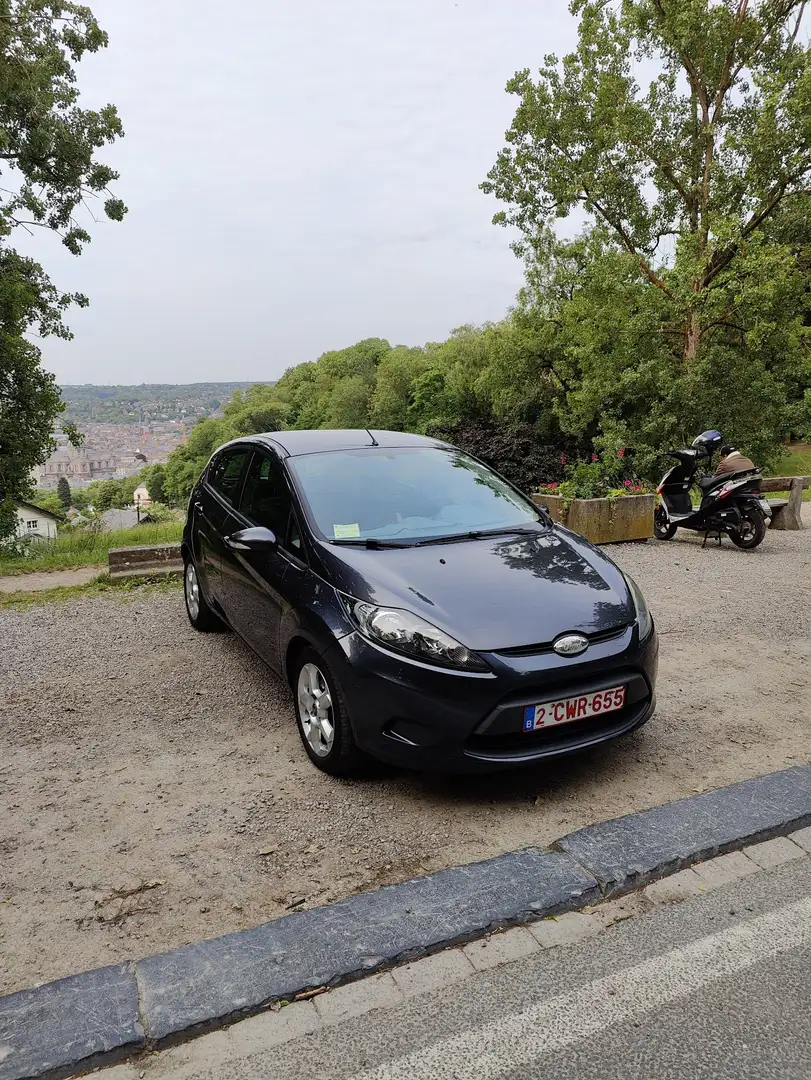 Ford Fiesta 1.6 TDCi Econetic DPF - 1