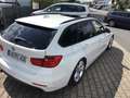 BMW 320 d +Klima+Automatic+Panoramadach Bianco - thumbnail 3