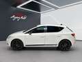 SEAT Leon 1.4 tgi Business High 110cv - thumbnail 6