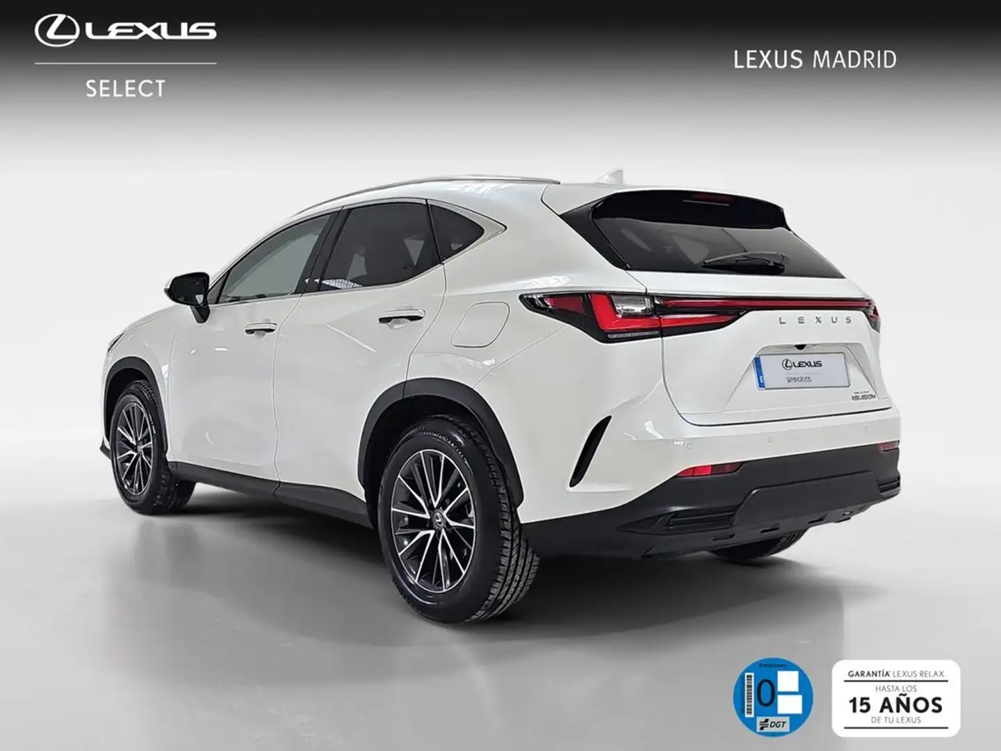 Lexus NX 450h+ Premium+ 4WD Blanco - 2