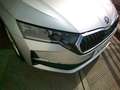 Skoda Octavia Octavia Wagon 2.0 tdi Executive 150cv dsg Argent - thumbnail 5