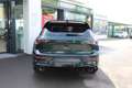 Volkswagen Golf GTI GTI Edition 50 DSG Grün - thumbnail 4