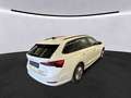 Skoda Octavia Combi 2.0 TDI DSG +AHK +LED +ACC +NAVI +SHZ +ALU Weiß - thumbnail 3