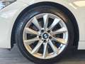 BMW 325 Serie 3 F31 2012 Touring 325d Touring Modern Biały - thumbnail 20