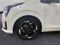 Kia Picanto 1.0 MPi GPL 20th Anniversary Edition Weiß - thumbnail 15