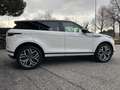 Land Rover Range Rover Evoque 2.0D I4-L.Flw 150 CV AWD Auto SE Weiß - thumbnail 7