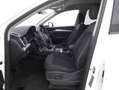 Audi Q5 MHEV Business quattro S tronic 2.0 Mild Hybrid Bianco - thumbnail 10