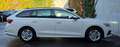 Skoda Octavia Selection AHK/ACC/KAMERA/ Weiß - thumbnail 5