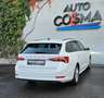 Skoda Octavia Selection AHK/ACC/KAMERA/ Weiß - thumbnail 7
