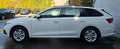 Skoda Octavia Selection AHK/ACC/KAMERA/ Weiß - thumbnail 6