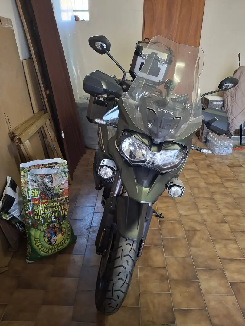 Triumph Tiger 1200 EXPLORER Verde - 1