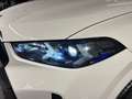 BMW X6 G06 LCI 2023 xdrive30d MSport auto Weiß - thumbnail 9