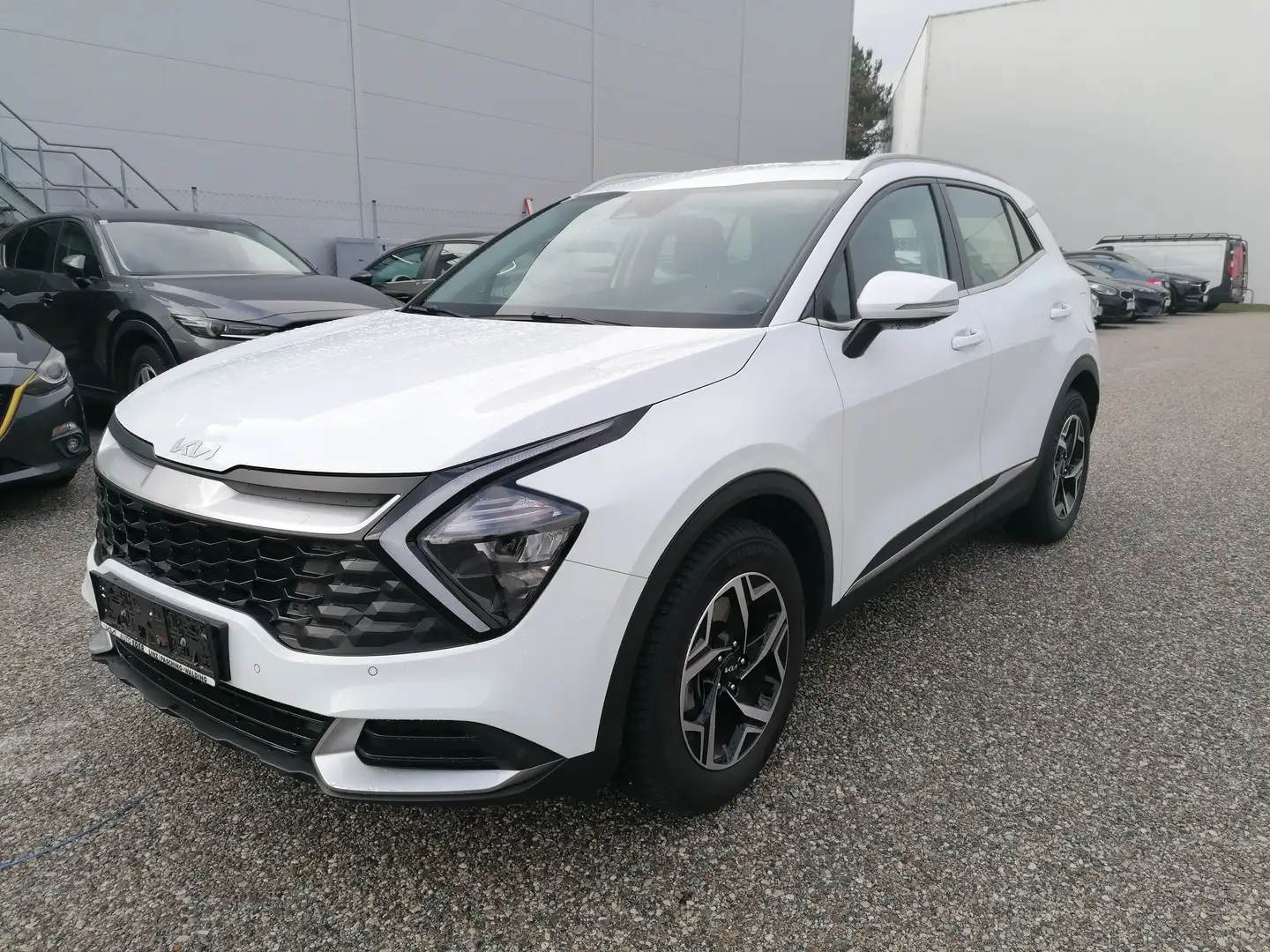 Kia Sportage Sportage 1,6 TGDI Silber Silber Weiß - 1