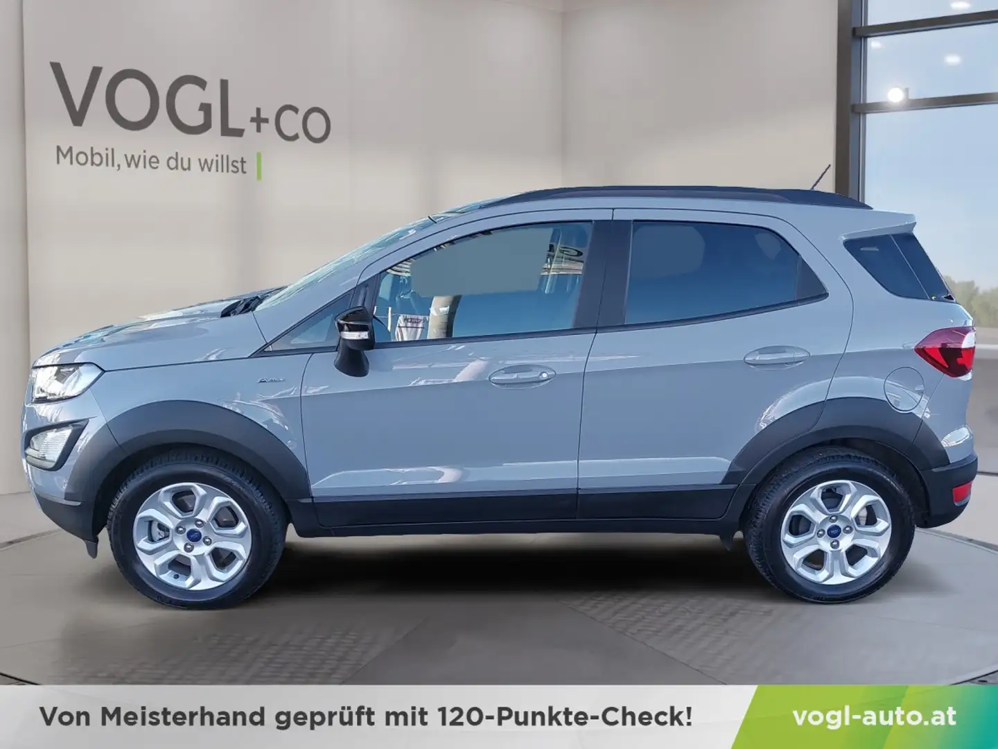 Ford EcoSport 1,0 EcoBoost Grau - 2