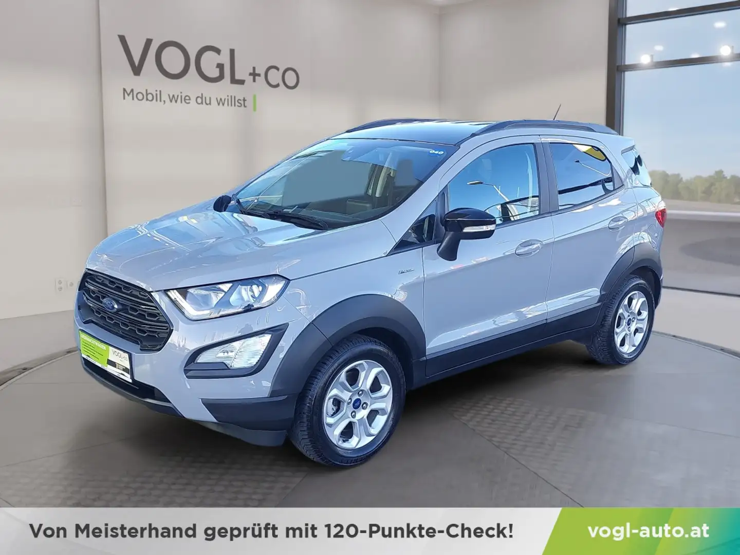 Ford EcoSport 1,0 EcoBoost Grau - 1