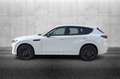 Mazda CX-60 3.3L e-Skyactiv D 249 CV M Hybrid AWD Homura Bianco - thumbnail 6