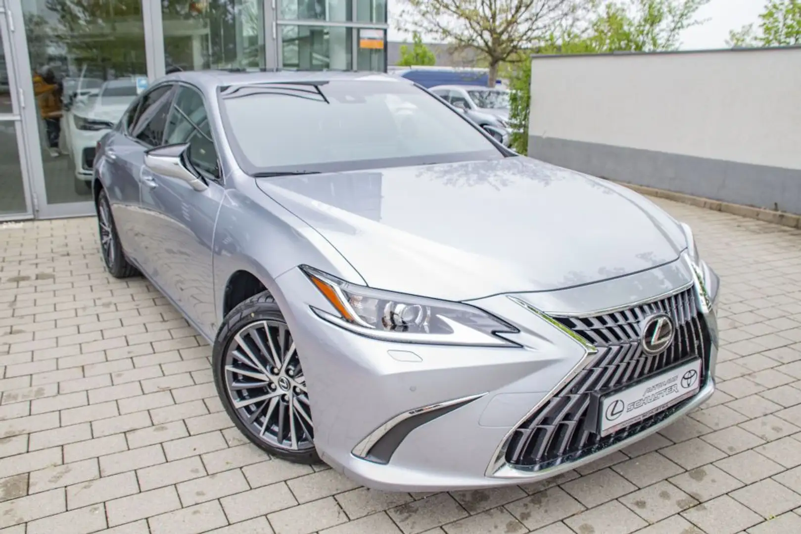 Lexus ES 300 300h Business Line Plateado - 2