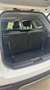 Ebro s800 S800 1.6 TGDI Luxury 7 DCT Weiß - thumbnail 31