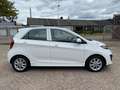 Kia Picanto 1.2 CVVT ISG Plus Pack 82 Pk - Geheel dealer onder Blanc - thumbnail 3