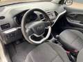 Kia Picanto 1.2 CVVT ISG Plus Pack 82 Pk - Geheel dealer onder Blanc - thumbnail 7