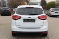 Ford C-Max Business Edition Weiß - thumbnail 6