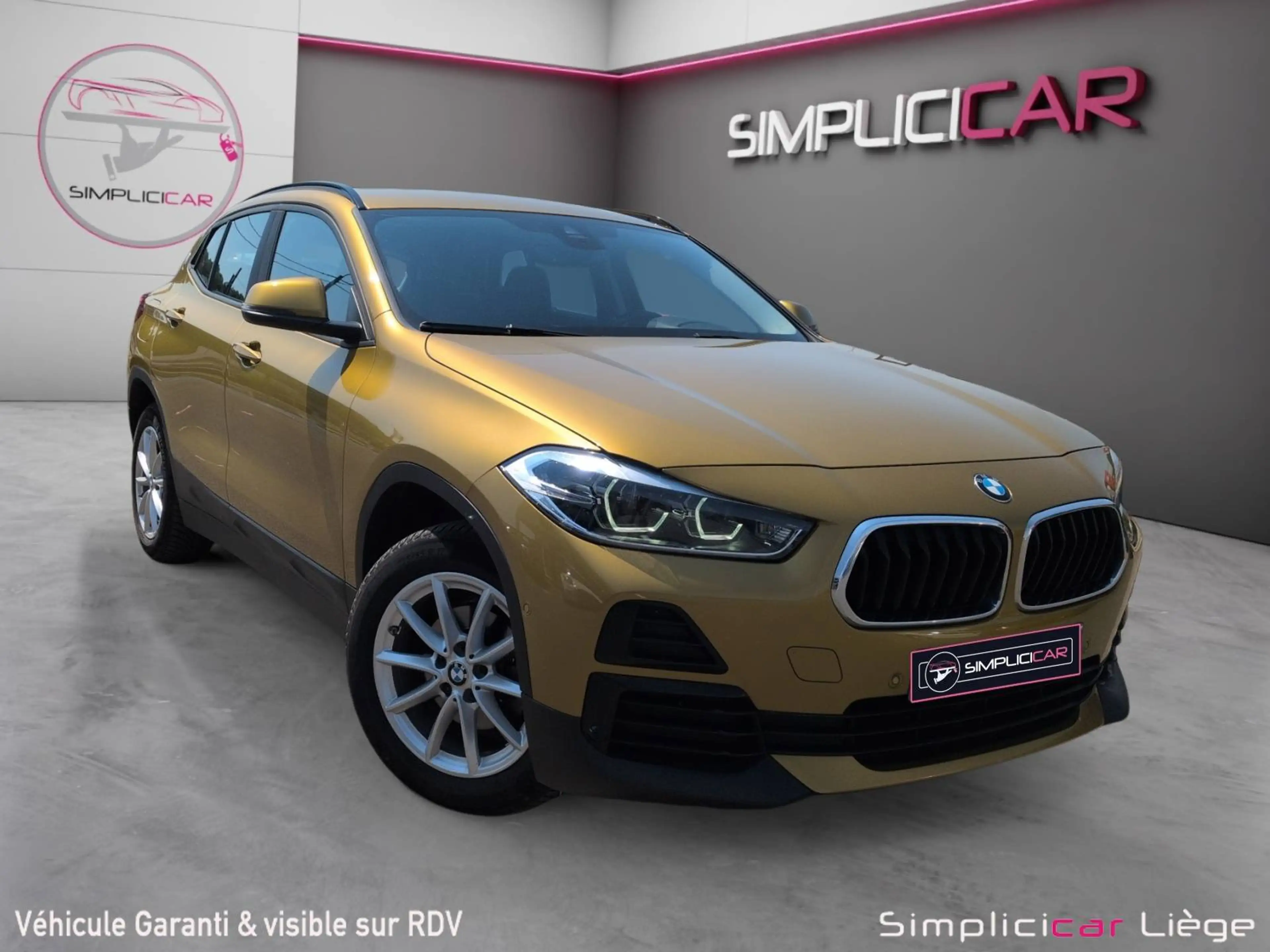 BMW X2 X2 1.5 d sDrive16 (EU6AP)