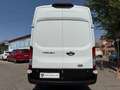 Ford Transit 350 L4 Trend N1 EcoBlue 96kW RWD Blanco - thumbnail 25