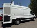 Ford Transit 350 L4 Trend N1 EcoBlue 96kW RWD Blanco - thumbnail 6