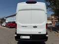 Ford Transit 350 L4 Trend N1 EcoBlue 96kW RWD Blanco - thumbnail 24