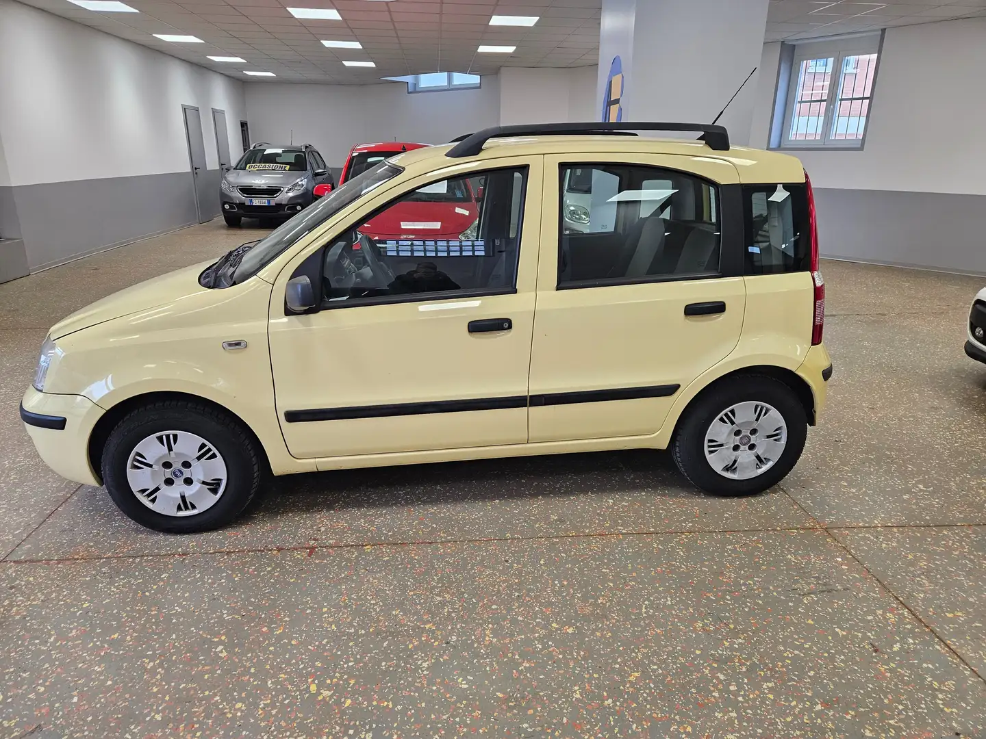 Fiat Panda Panda 1.2 Dynamic Gpl Giallo - 2