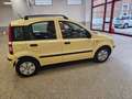 Fiat Panda Panda  1.2 Dynamic Gpl Giallo - thumbnail 3